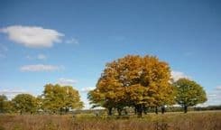 Превью изображение новостей